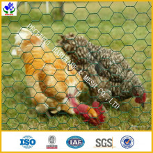 Chicken Wire / Hex Netting (HPZS-1008)